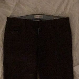 Habitual eve hi rise coated jeans . Burgundy.